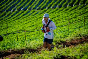 BIB: 
                            <button type="button" onclick="openModal(19160604)" class="btn btn-primary btn-sm float-right btn-popup" data-toggle="modal" data-target=".modal-high-quality">
                        <i class="fas fa-shopping-cart"></i> Add to Cart
                    </button>
                                            <button type="button" onclick="isThisMe(19160604, true)" class="btn btn-success btn-sm float-right btn-popup btn-isme hidden" data-toggle="tooltip" data-placement="bottom" title="นี่คือรูปของคุณใช่ไหม คลิกที่นี่เพื่อเอาเข้าอัลบั้ม">
                        <i class="fas fa-plus"></i> Add to album
                    </button>
                    <button type="button" onclick="isThisMe(19160604, false)" class="btn btn-warning btn-sm float-right btn-popup btn-isnotme hidden">
                        <i class="fas fa-ban"></i> Remove from album
                    </button>